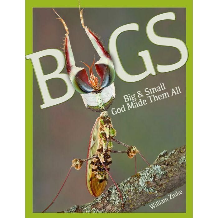 Bugs: Big & Small Book