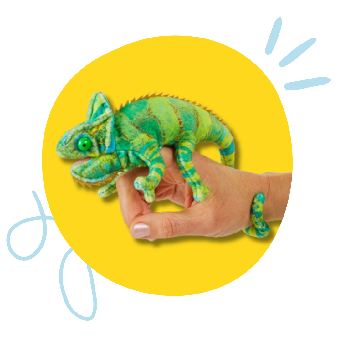 Educational Resources