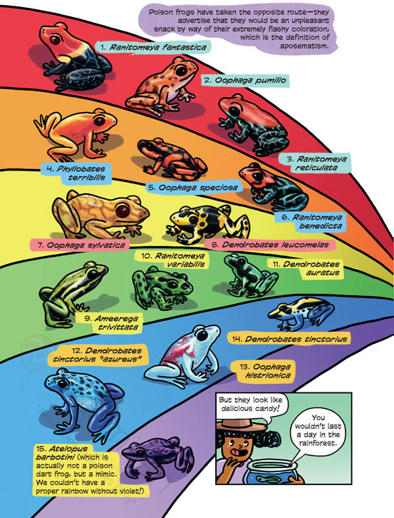 Science Comics: Frogs: Awesome Amphibians