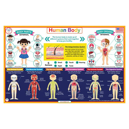 Human Body Placemat