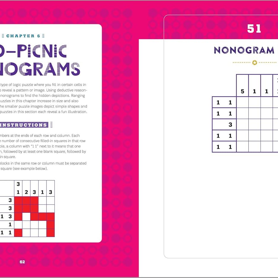 Logic Puzzle Book For Teens