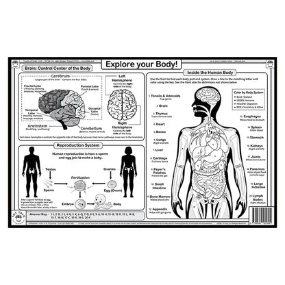 Human Body Placemat
