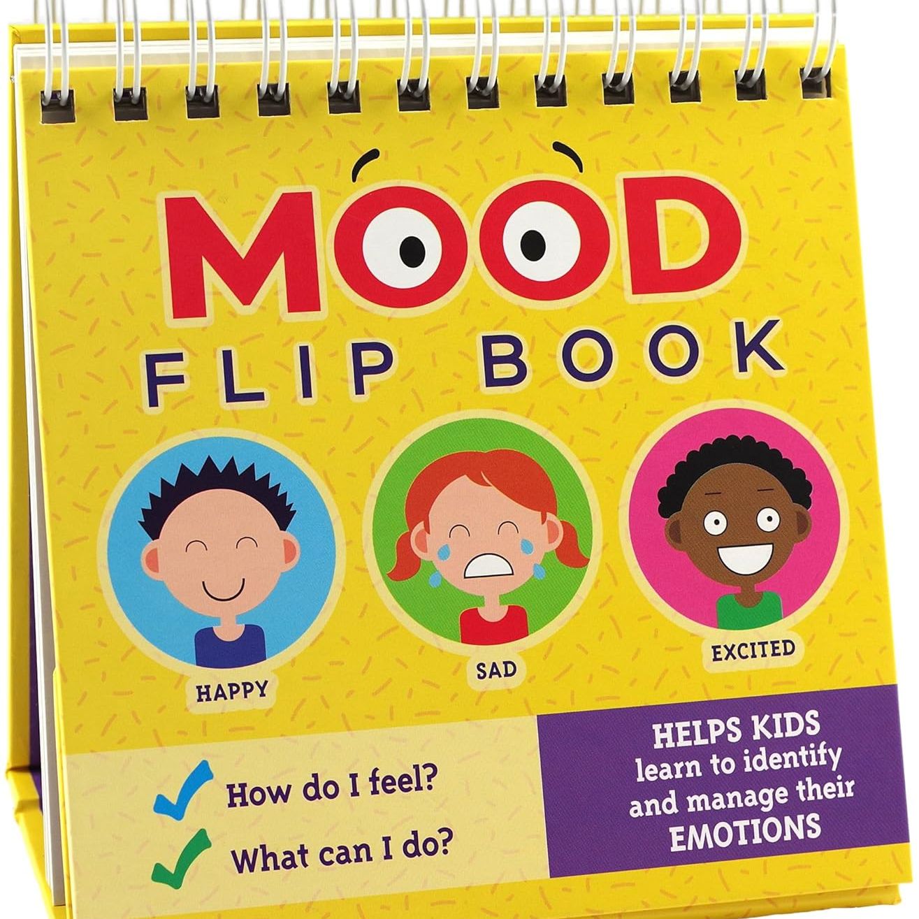 Mood Flip Book