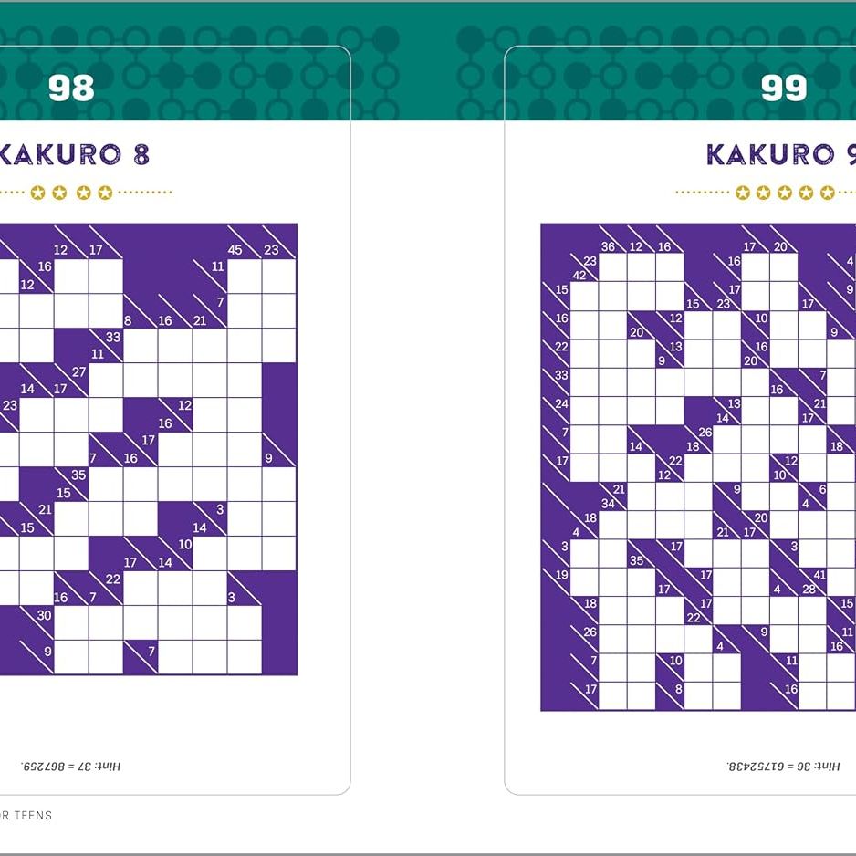 Logic Puzzle Book For Teens