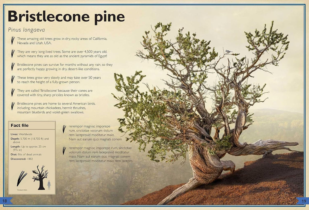 The Magnificent Book of Trees