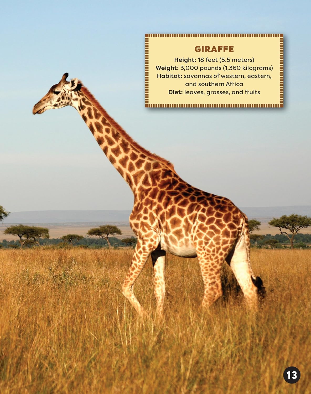 Awesome Animals of Africa - the Continent and Its Creatures