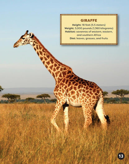 Awesome Animals of Africa - the Continent and Its Creatures