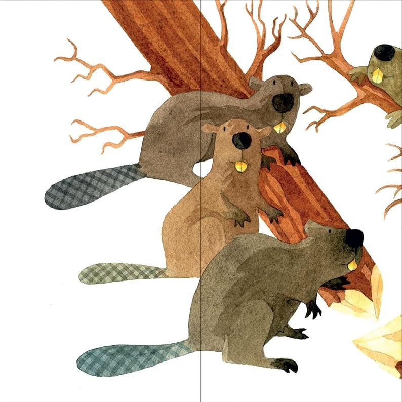 Whose Tail? A Riddle Book with Flaps