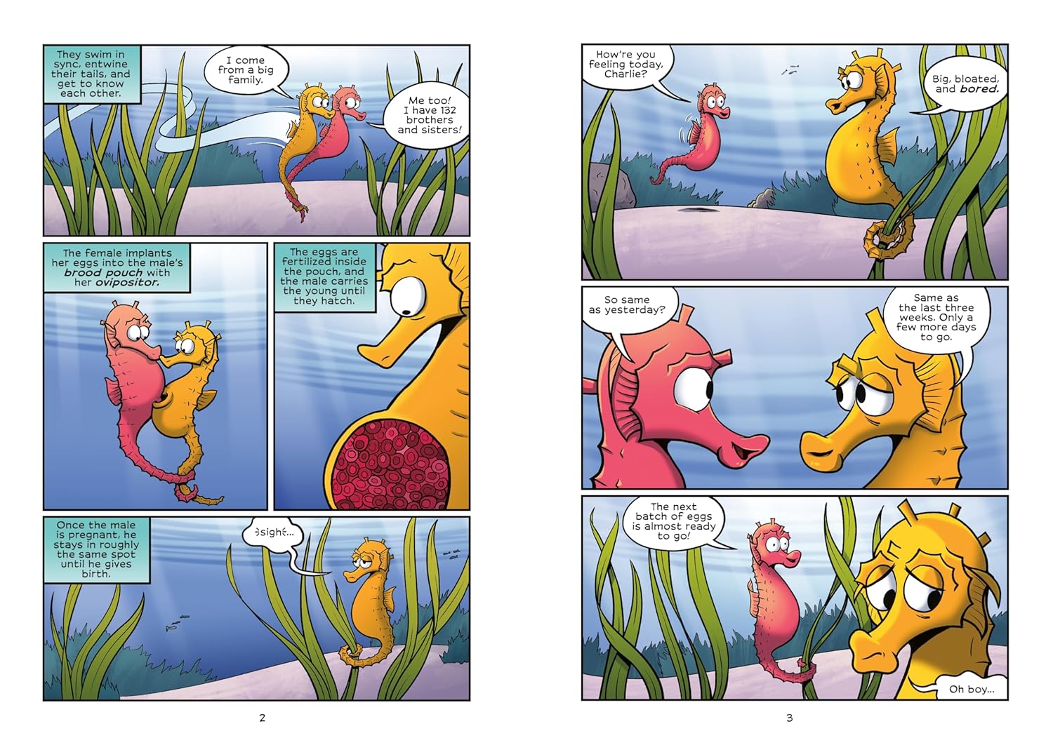 Science Comics: Deep-Sea Creatures: Adapting To The Abyss