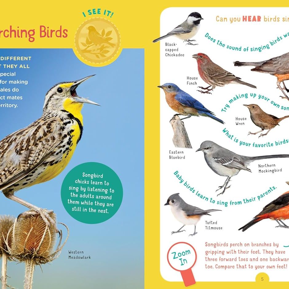 Backpack Explorer: Bird Watch