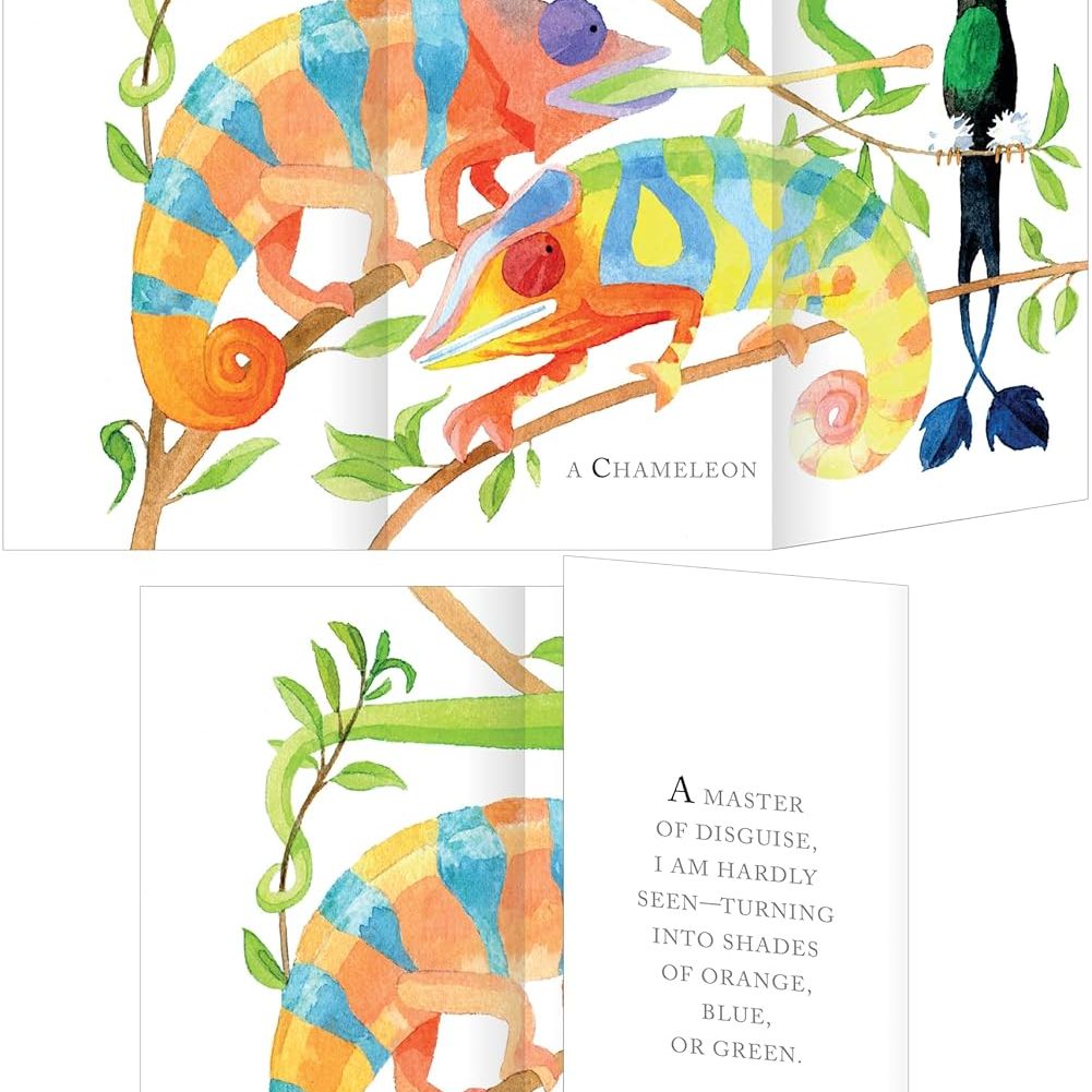 Whose Tail? A Riddle Book with Flaps