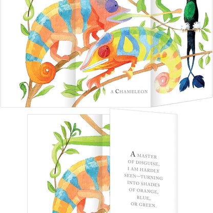 Whose Tail? A Riddle Book with Flaps