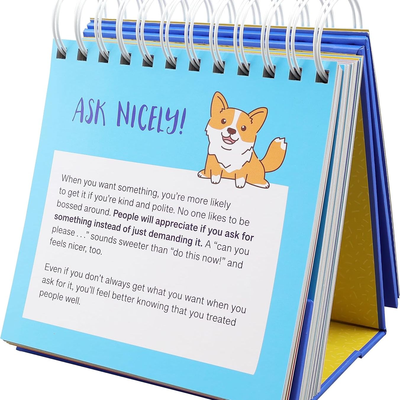 Everyday Manners and Social Skills - A Flip Book For Kids