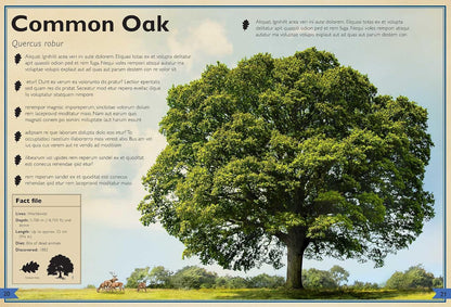 The Magnificent Book of Trees