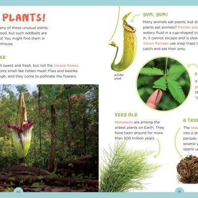 Backpack Explorer: Discovering Plants and Flowers