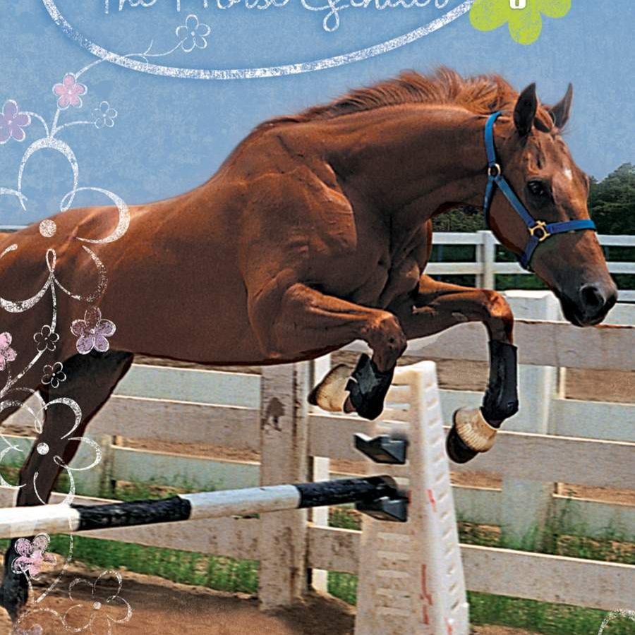 Winnie the Horse Gentler: Bold Beauty
