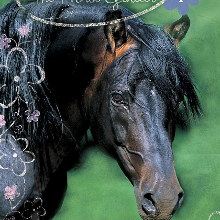 Winnie the Horse Gentler: Midnight Mystery