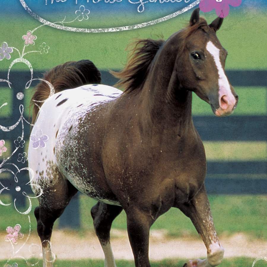 Winnie the Horse Gentler: Unhappy Appy
