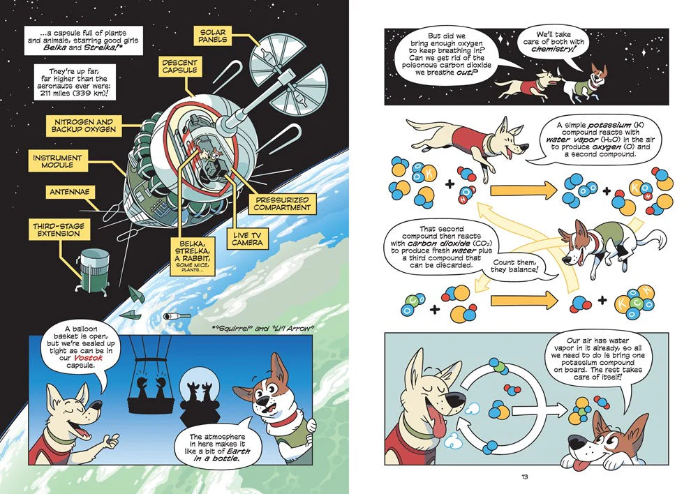 Science Comics: Human Spaceflight: Rockets and Rivalry