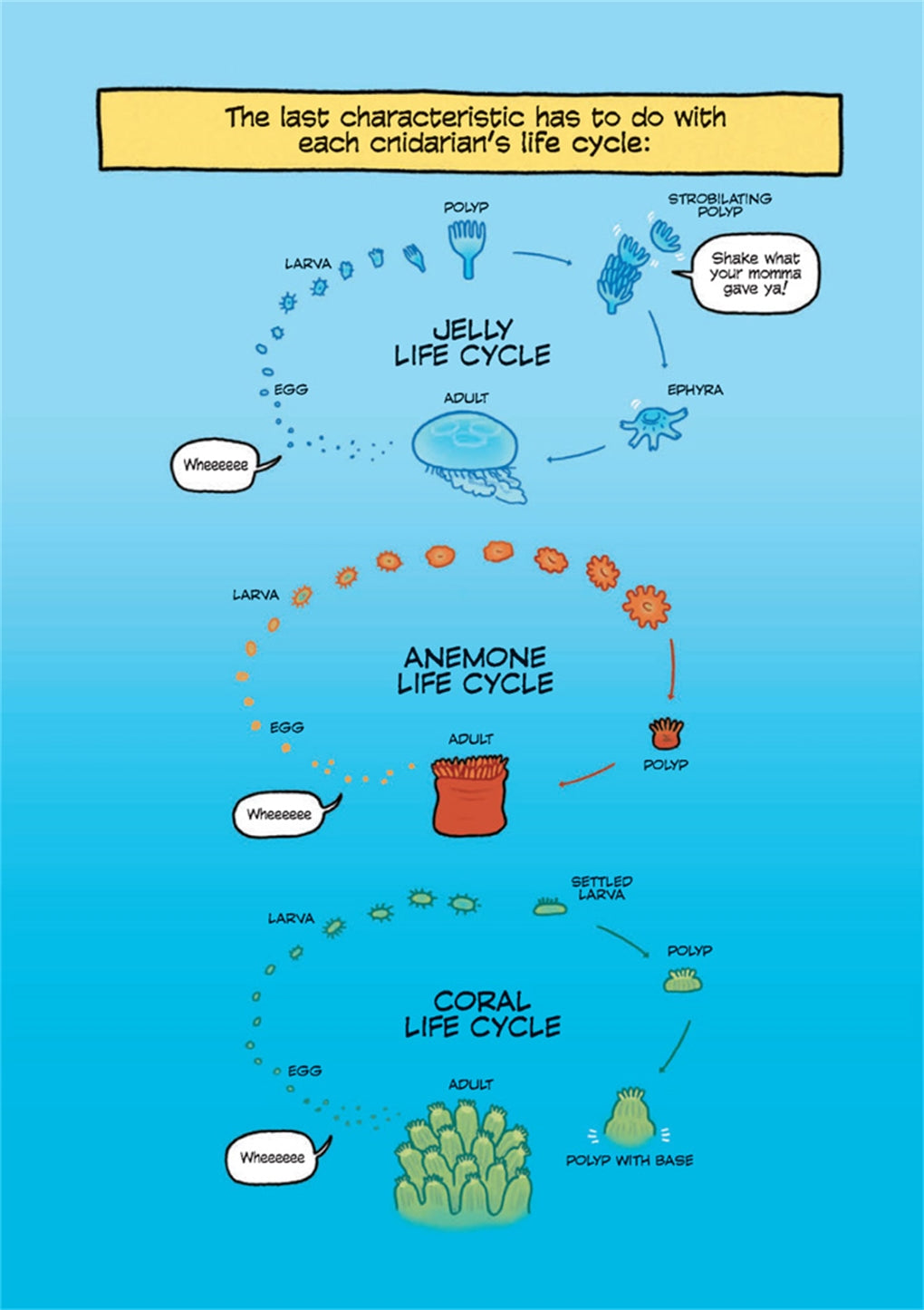 Science Comics: Coral Reefs: Cities of the Ocean