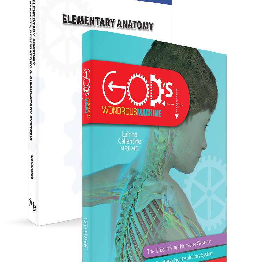 Masterbooks Elementary Anatomy: Nervous, Respiratory, and Circulatory Systems (Set) God's Wondrous Machine Set