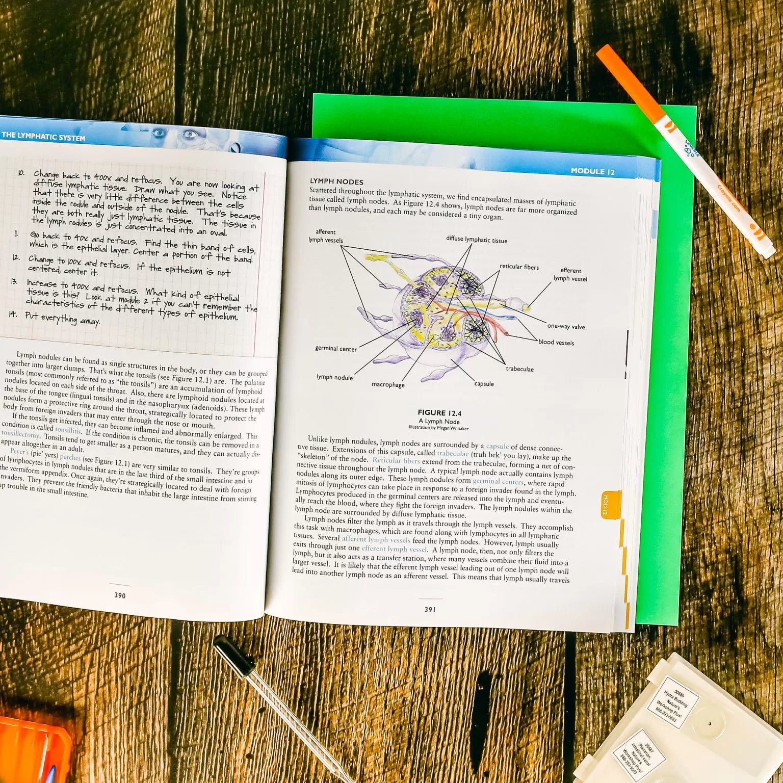 Apologia: Advanced Biology Textbook
