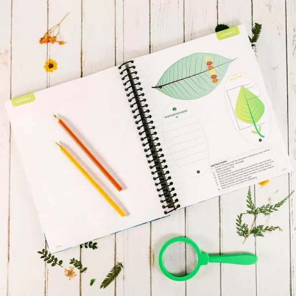 Apologia: Exploring Creation with Botany Notebooking Journal