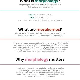 DK Super Where Words Come From Morpheme-A-Day