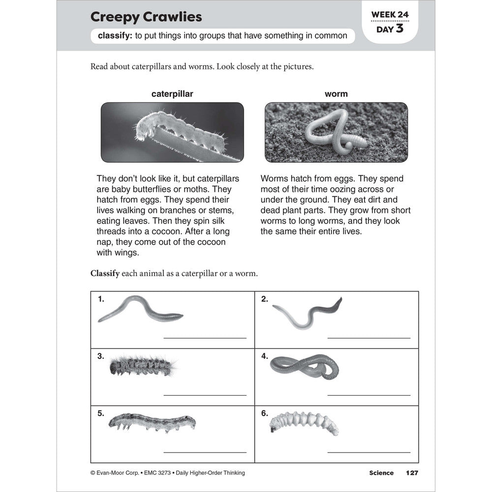 Daily Higher-Order Thinking, Teacher Resource Workbook (Grade 3)