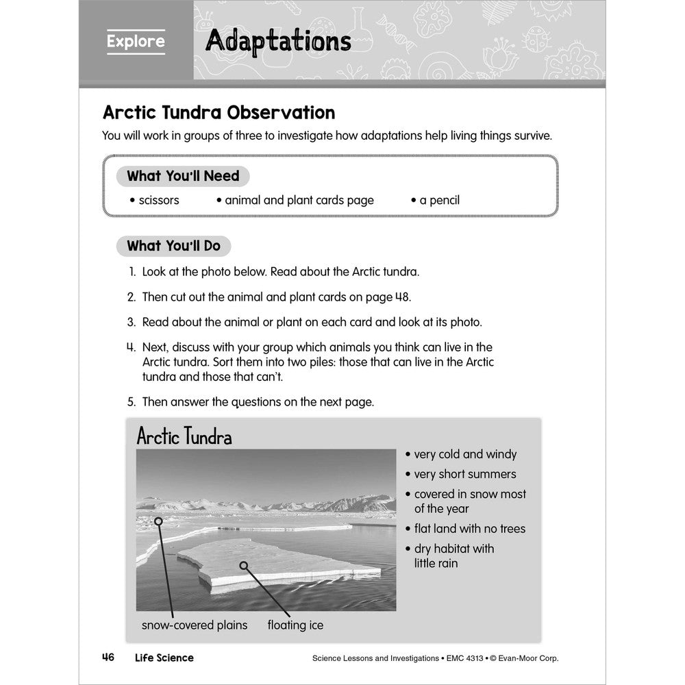 Science Lessons & Investigations Workbook, Grade 3