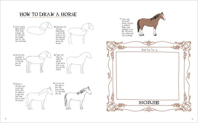 Farm Anatomy Activity Book