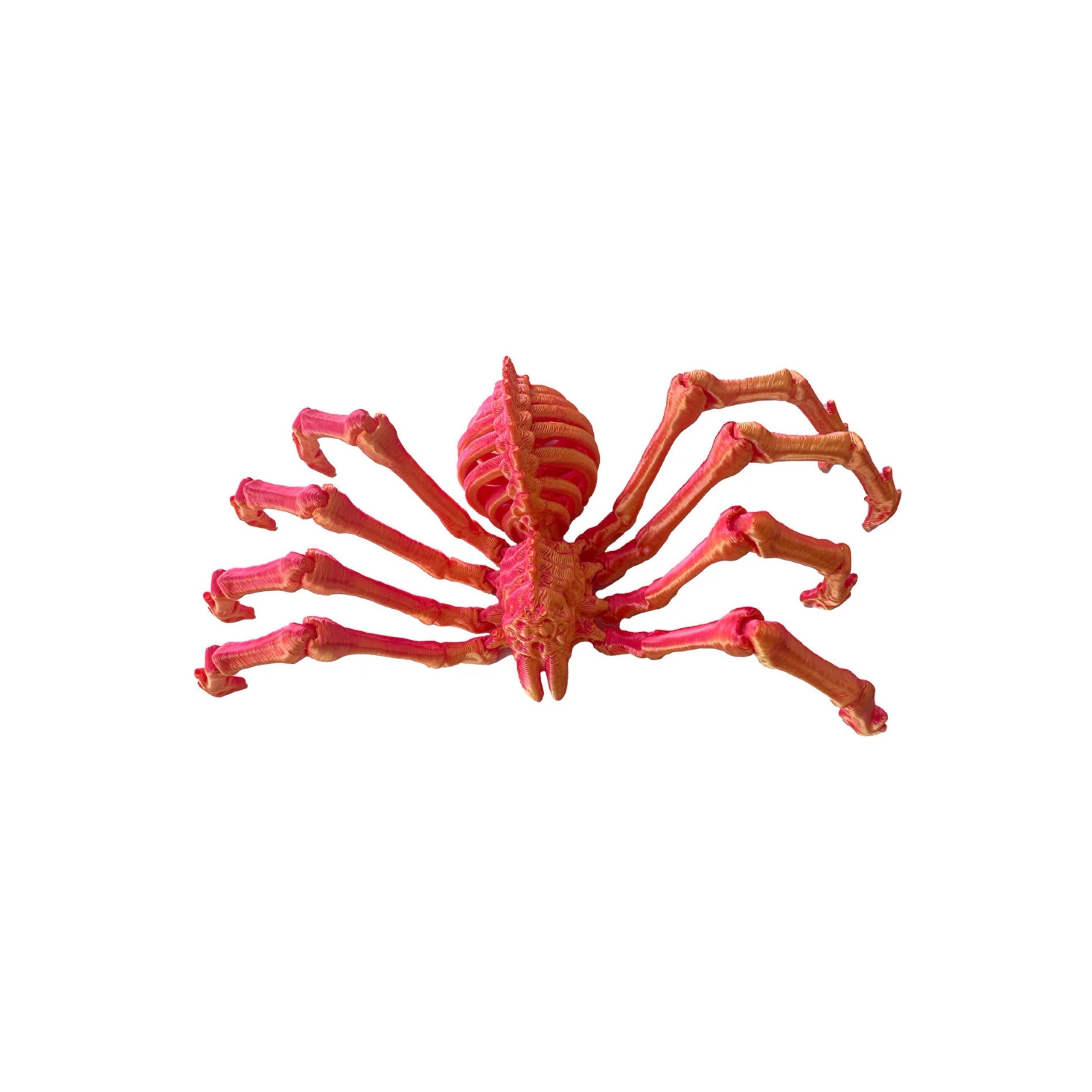 Twiddle 3D Spider