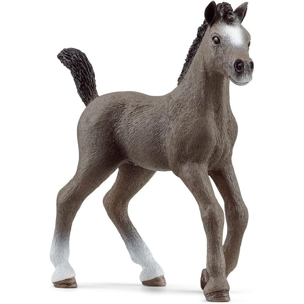 Schleich Horse Club Realistic Cheval de Selle Francais Foal Horse Figurine - Detailed Horse Toy, Durable for Education and Imaginative Play for Girls and Boys, Gift for Kids Ages 5+