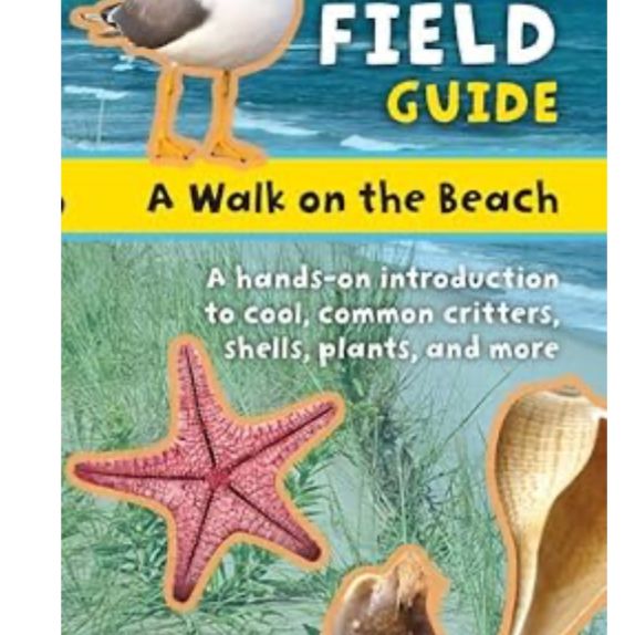Into the Field Guide: Walk on the Beach