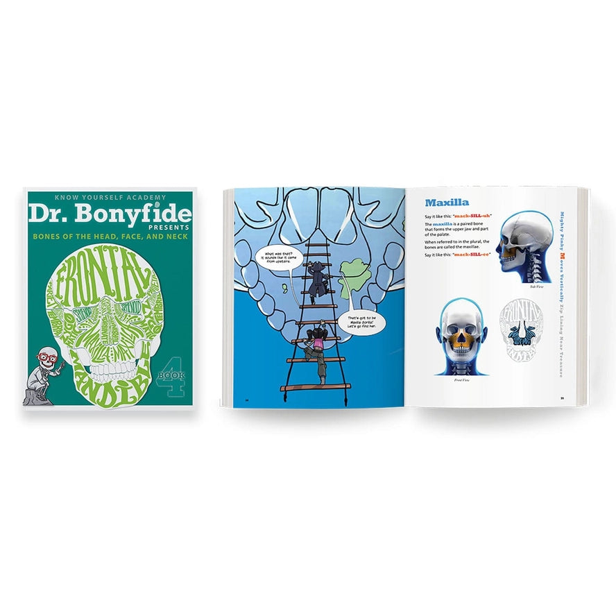 206 Bones of the Human Body - 4 Book Set