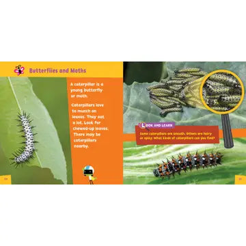 Look and Learn Insects