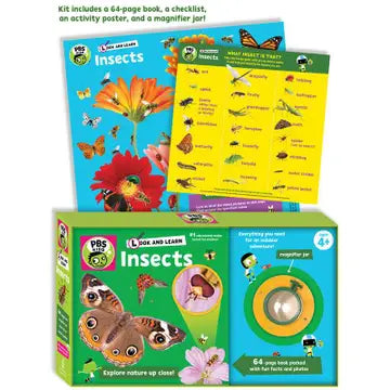 Look and Learn Insects