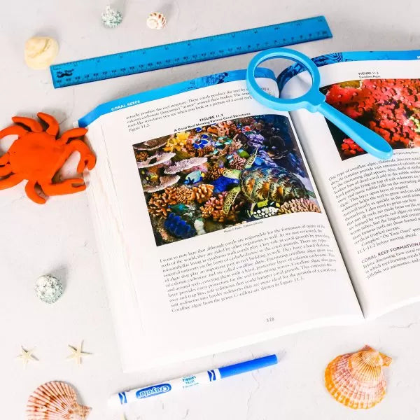 Apologia: Exploring Creation with Marine Biology Textbook