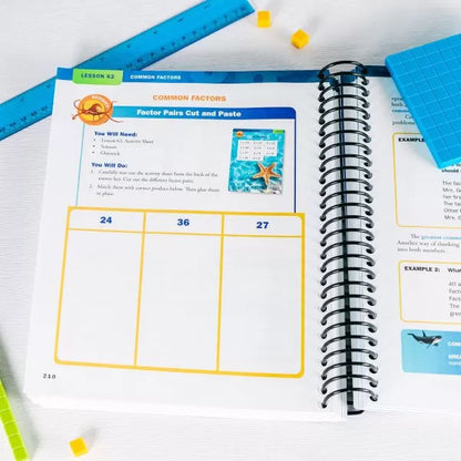 Apologia: Exploring Creation with Mathematics Level 4 Student Text & Workbook