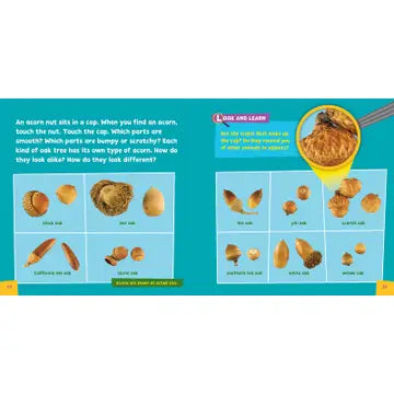 Look and Learn Nature Detective