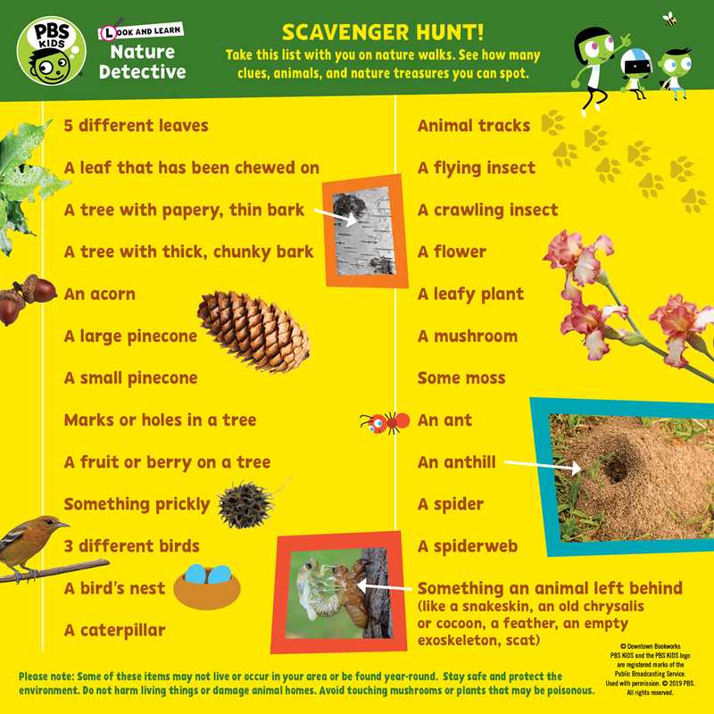 Look and Learn Nature Detective