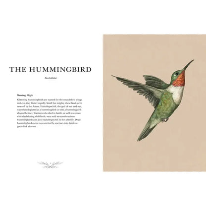Ornithography