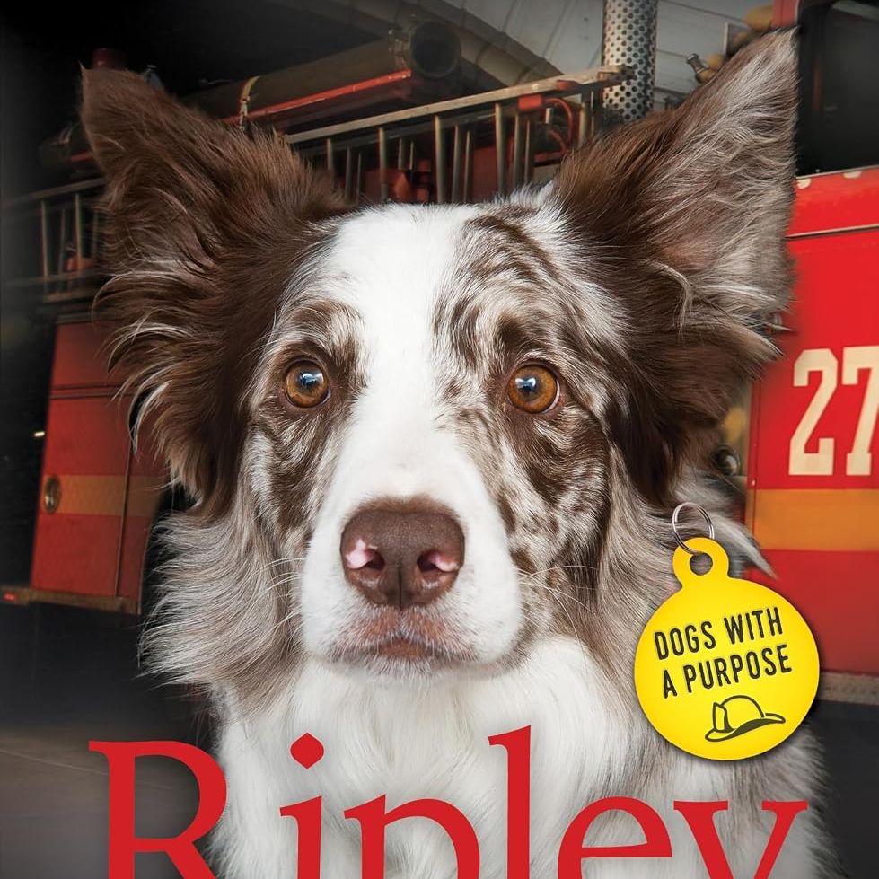 Ripley: Fire Station
