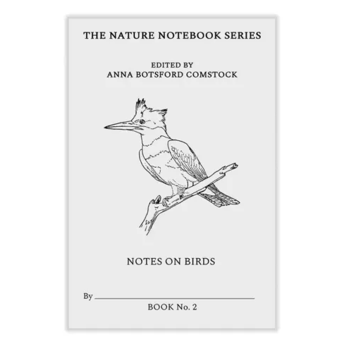 The Nature Notebook Series: Notes on Birds 2