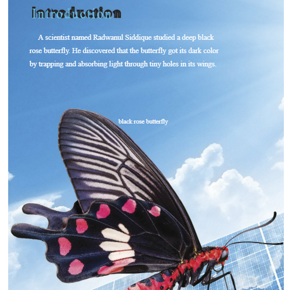 Nature's Energy Reader Grade 4-8