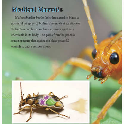 Biomimicry and Medicine Reader Grade 4-8