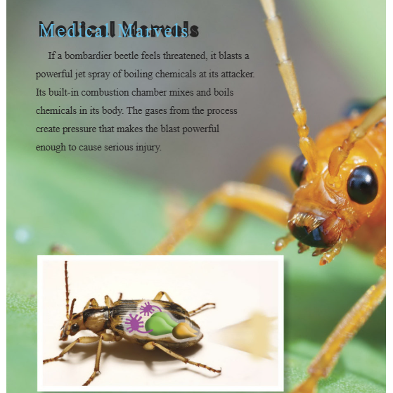 Biomimicry and Medicine Reader Grade 4-8