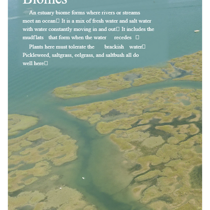 Estuary Animals Reader Grade 3-6