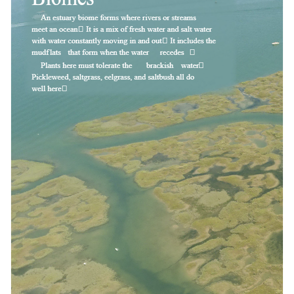 Estuary Animals Reader Grade 3-6