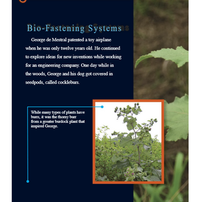 Nature Inspired Contraptions Reader Grade 4-8